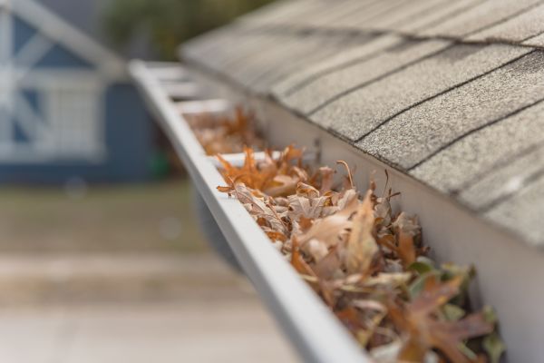 Leaf Barrier Installation in Lancaster