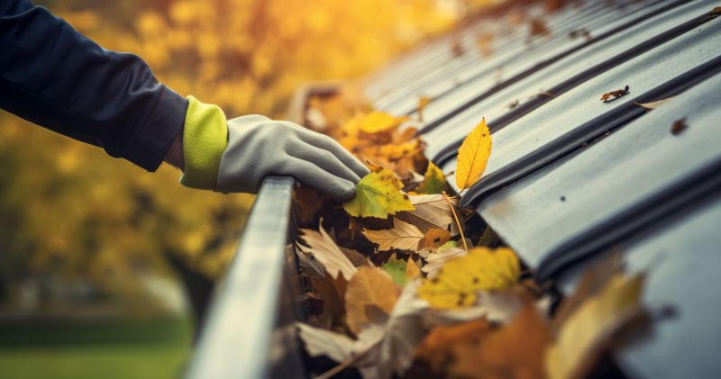 Post-Leaf Fall Gutter Check